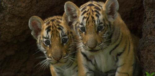 京津冀周边玩三天左右,京津冀十月旅游免费景区