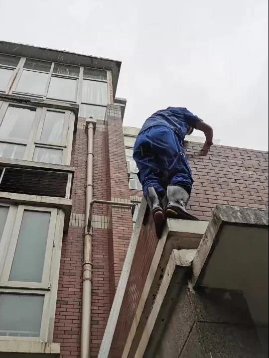 分秒必争！打响汛后“修复战”，建业新生活在行动