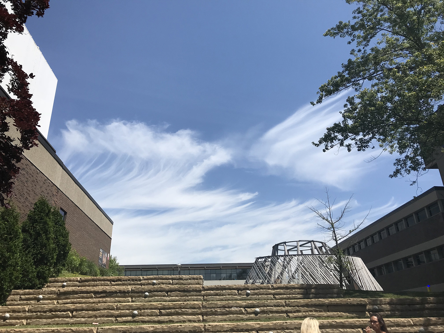 三本大学留学读研怎么样,西三一博士回国前景