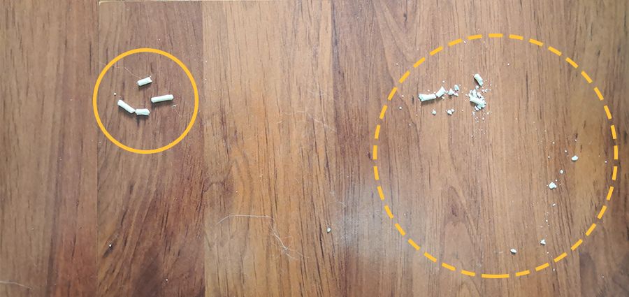 黑科技超强除臭猫砂,豆腐猫砂无粉尘真实测评