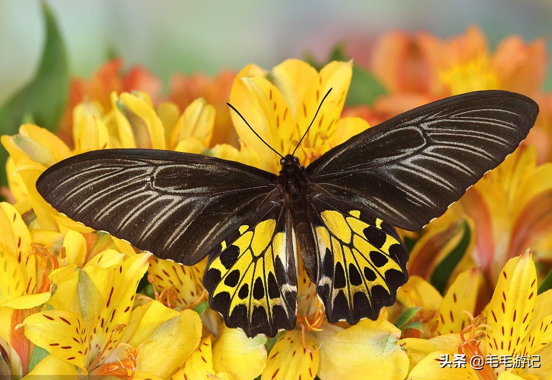 端午可以去的小岛,珠海端午出游攻略