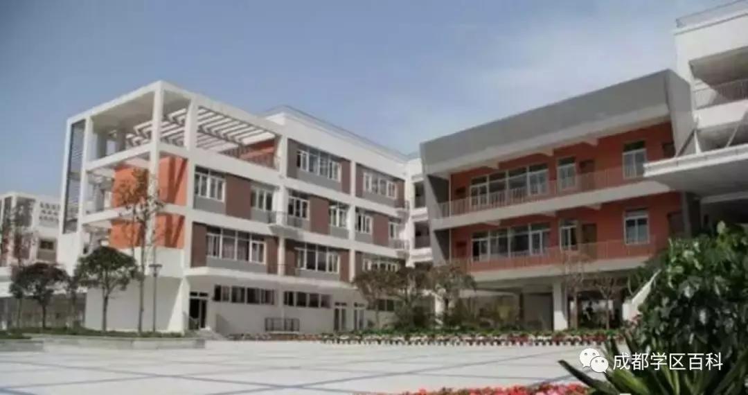 盐道街小学是五朵金花吗,五朵金花深度解析