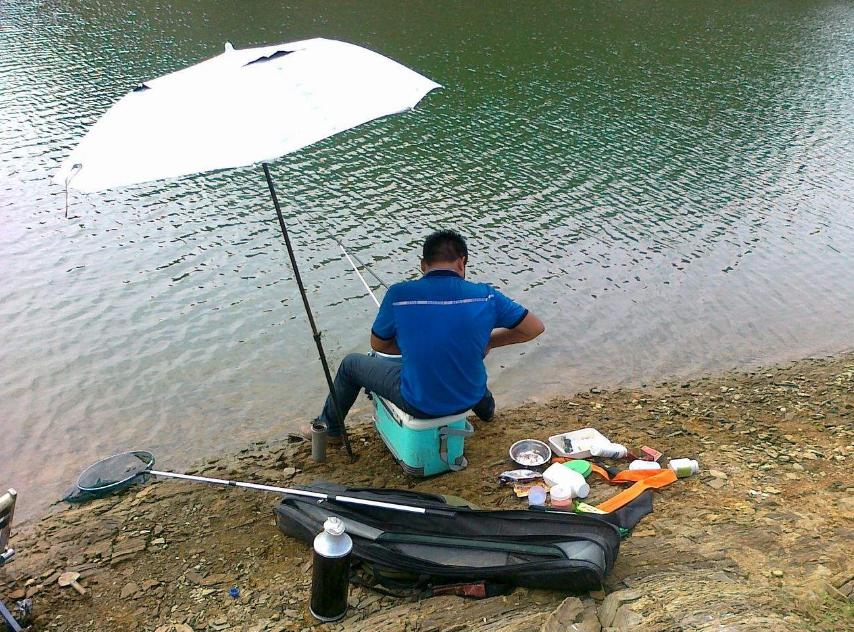 野钓窝子有鱼不咬钩什么原因,野钓窝里有鲫鱼但是不咬钩