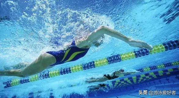 游泳教程快速让你成为游泳健将,游泳如何提高运动能力