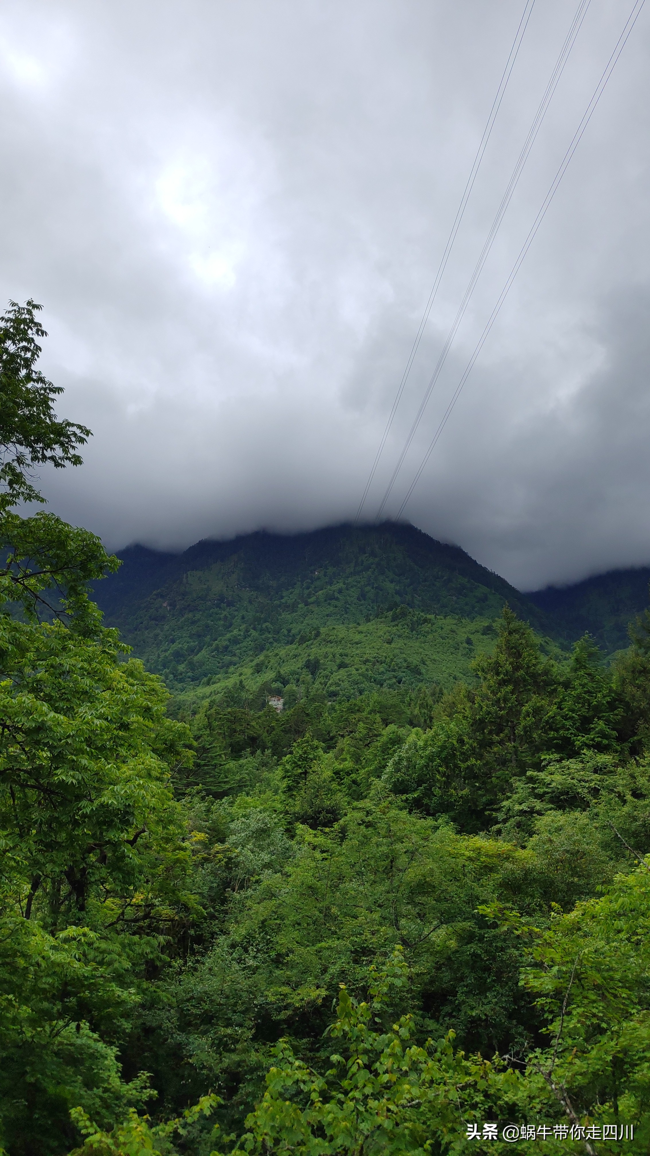 一家三口重庆到拉萨旅游攻略预算,一家三口成都去拉萨大概要多少钱