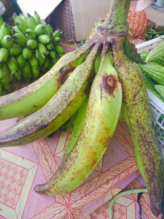 青山集团印尼纬达贝工业园区,青山集团印尼工业园区