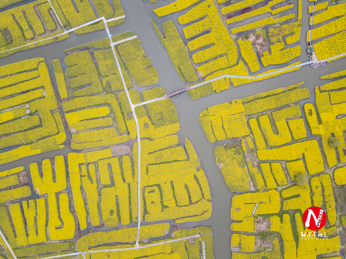 兴化三日游自驾游路线,去兴化看油菜花海攻略