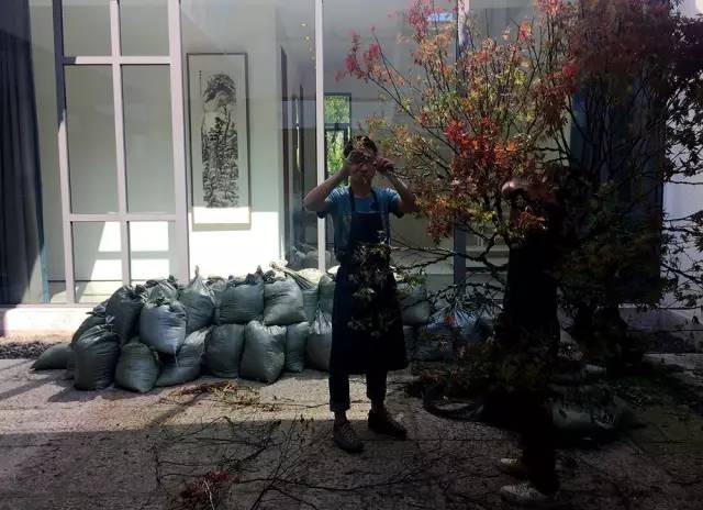 枯山水庭院景观制作过程,庭院枯山水施工做法