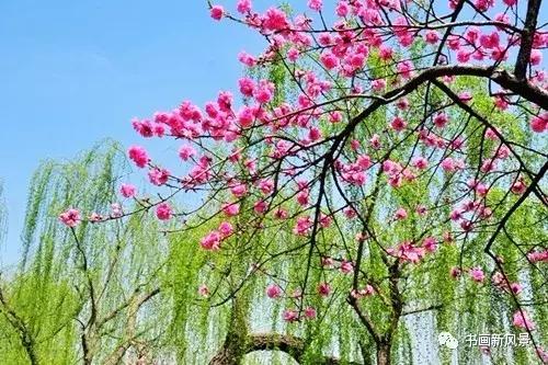 有关清明的写意国画,以清明节为题材的国画