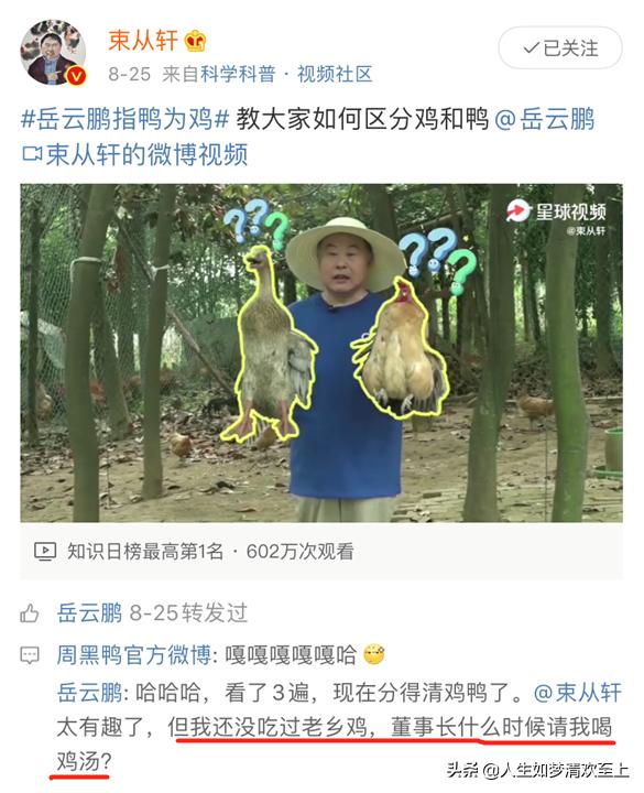 岳云鹏代言老乡鸡了吗 (岳云鹏吃老乡鸡排队)