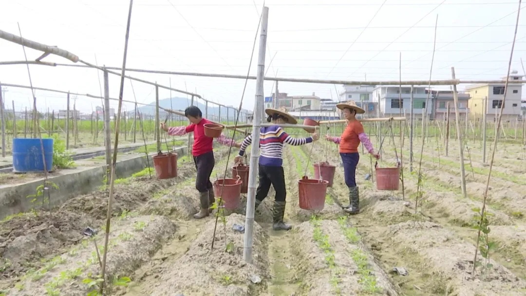 长泰：发展新主张企业逆势而上
