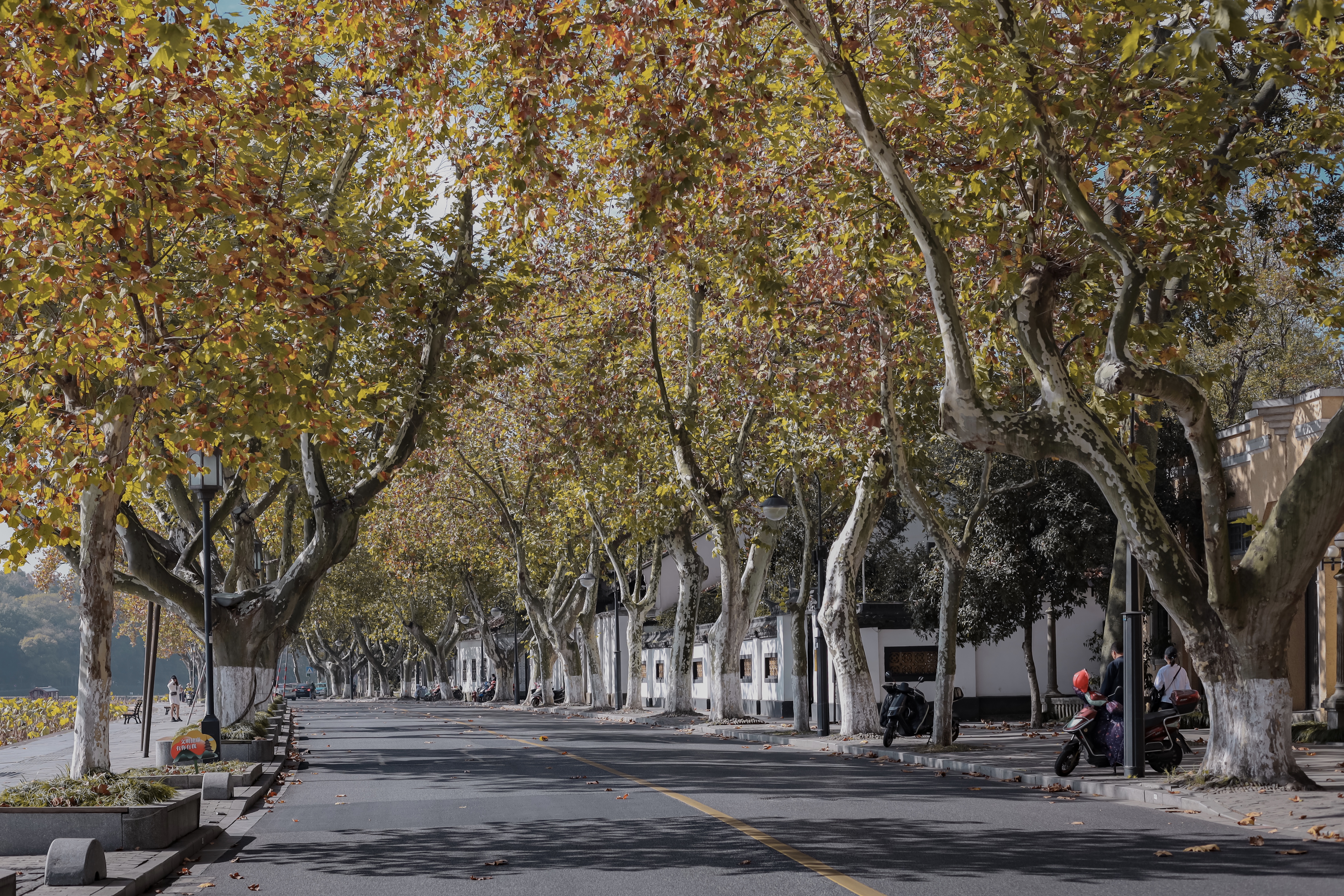 杭州西湖小众旅游攻略,西湖旅游打卡攻略