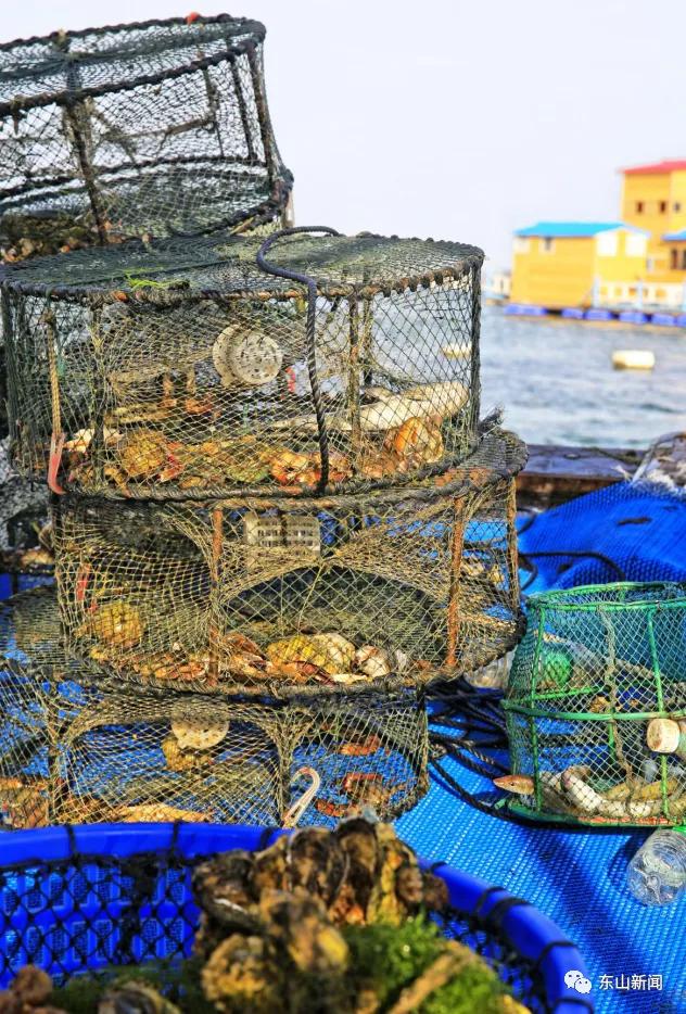 海上去哪玩,东山岛海边哪里有螃蟹抓