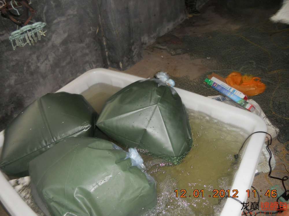 开渔场赚钱吗,开渔场需要多少资金