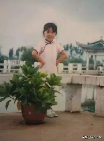 泪目的照片图片,泪目老人图片