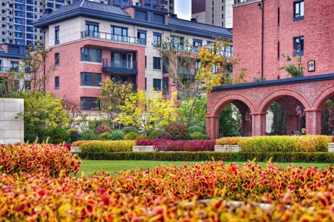 【钱紧买错楼盘？真的不如不买】