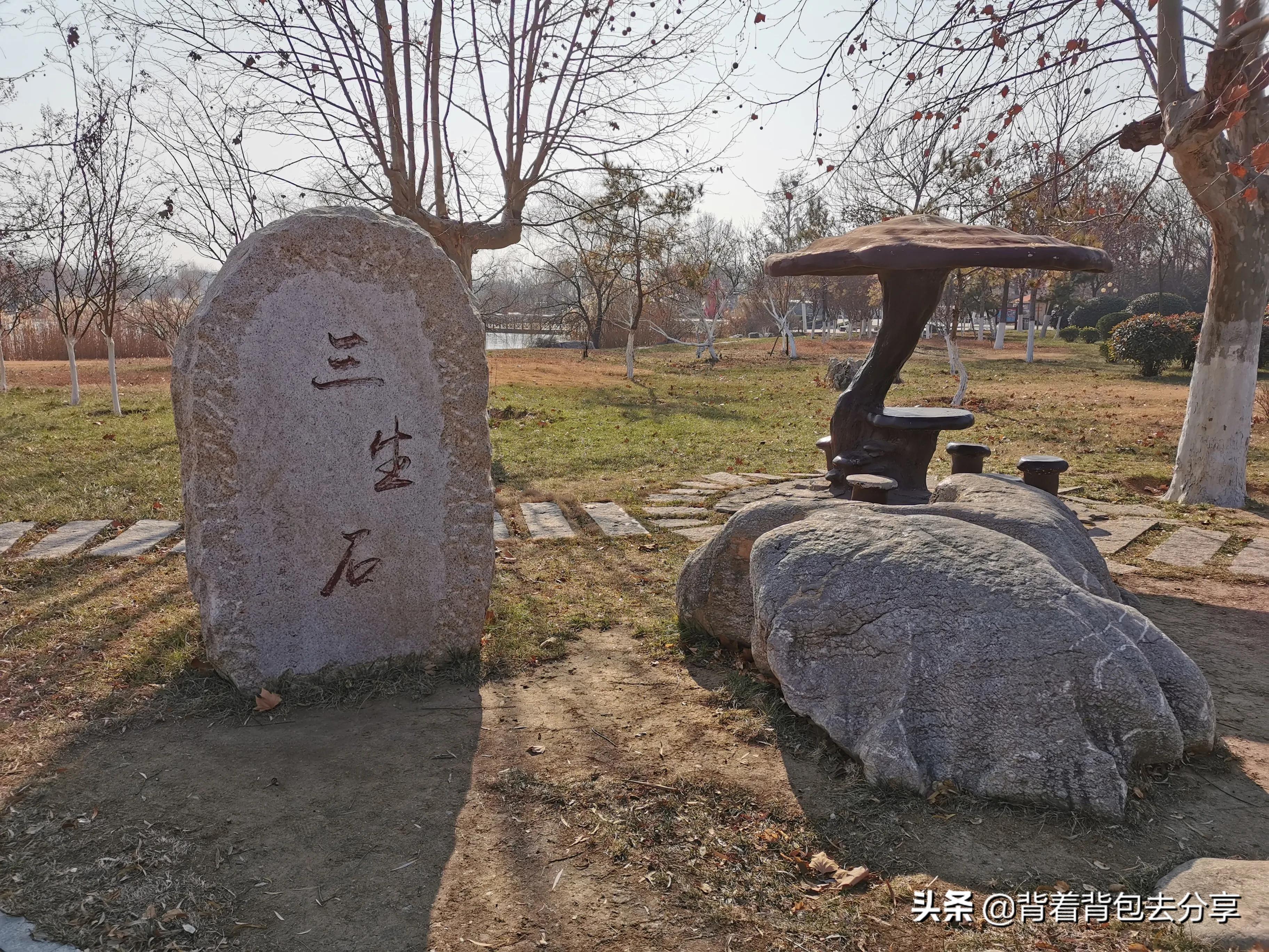 汶上莲花湖湿地公园旅游攻略,汶上莲花湖湿地景区游玩攻略