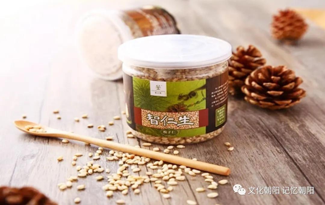 “塞上松”为锦绣之州锦上添花