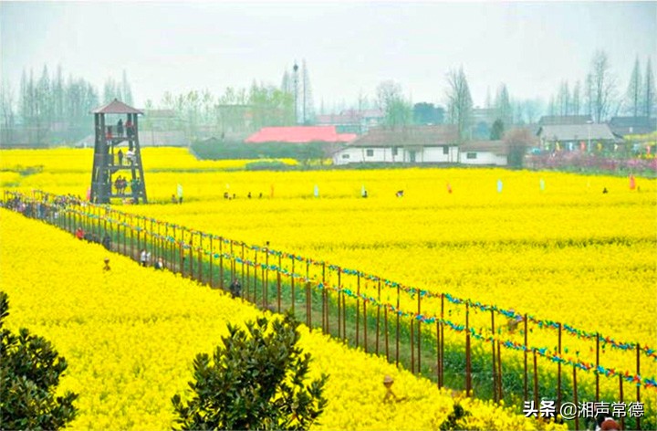 书写春联迎新春笔墨浓情送祝福,书写新篇章春联