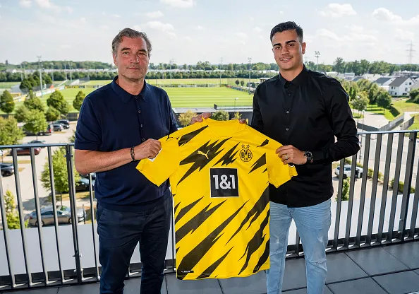 来了！“新卡卡”空降“黄黑幼儿园”