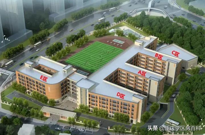 沙小、树人、七中！来看沙坪坝如何布局教育资源