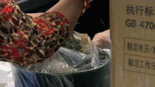 过海关被取消签证还能再申请吗,出国被海关劝返签证还能用吗