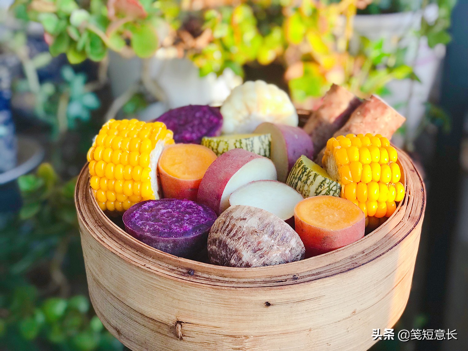谷雨后五谷丰登,谷雨风调雨顺五谷丰登