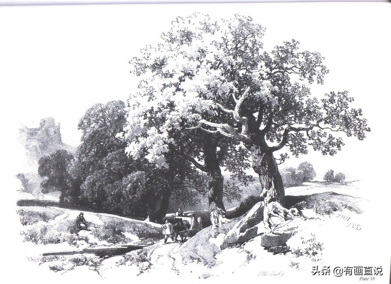 素描临摹高清大图初学,素描教程初学者临摹图