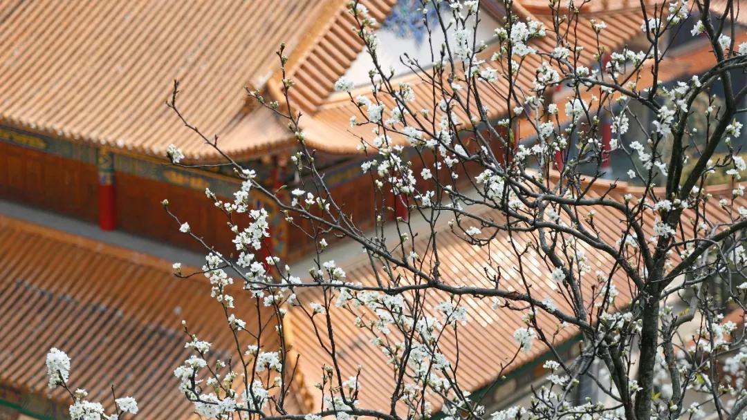 保山有魅力的地方,云南保山有多迷人