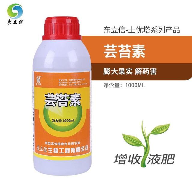 辣椒黄叶怎样防治,辣椒树烂根黄叶死苗用什么药好