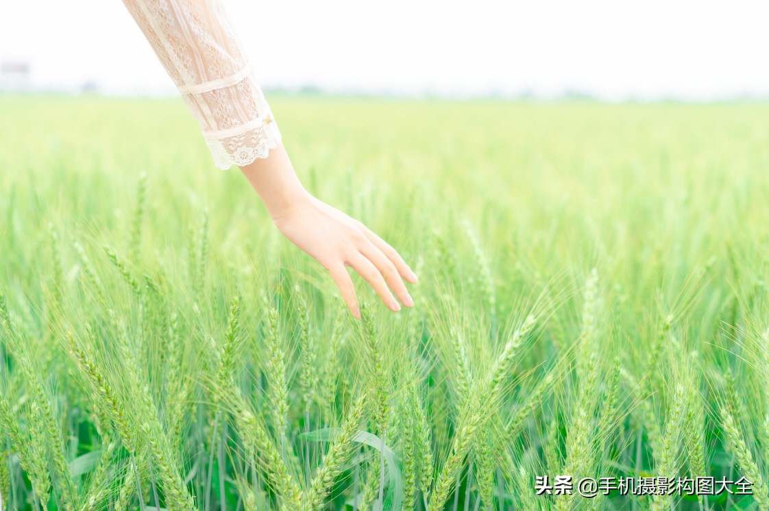 摄影10种构图方式,摄影日系人像构图技巧