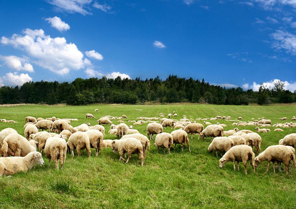 适合比较挑剔宝宝的奶粉,挑剔妈妈都在用的奶粉