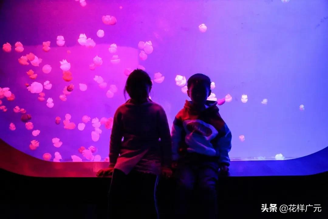 广元卡尔海洋世界,广元市卡尔海洋世界怎么去