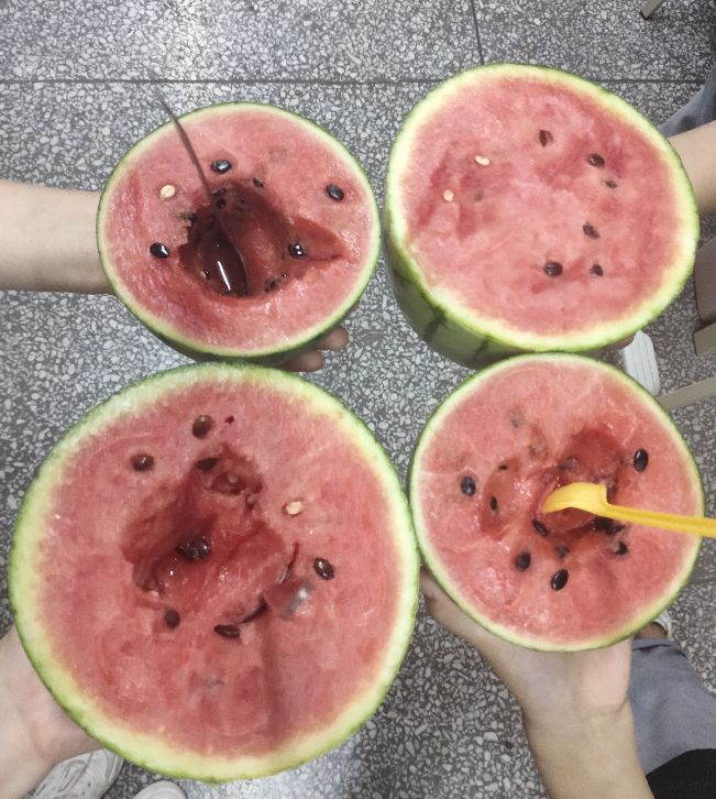 怎样让发量变多,什么方法能增长发量