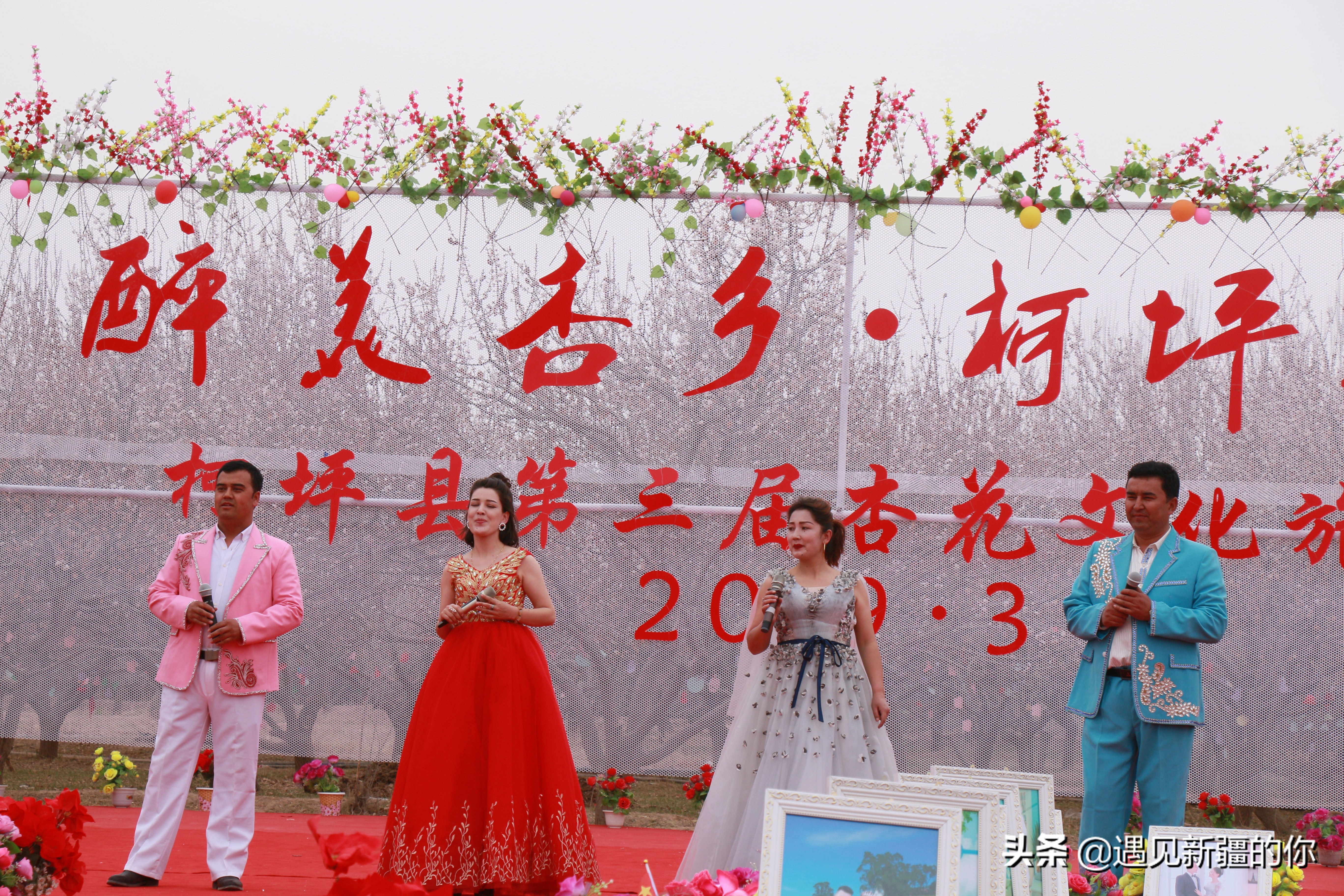 新疆尉犁县杏花节,杏花节旅游