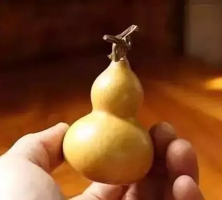 文玩葫芦龙头生虫怎么办,文玩葫芦如何避免损坏龙头