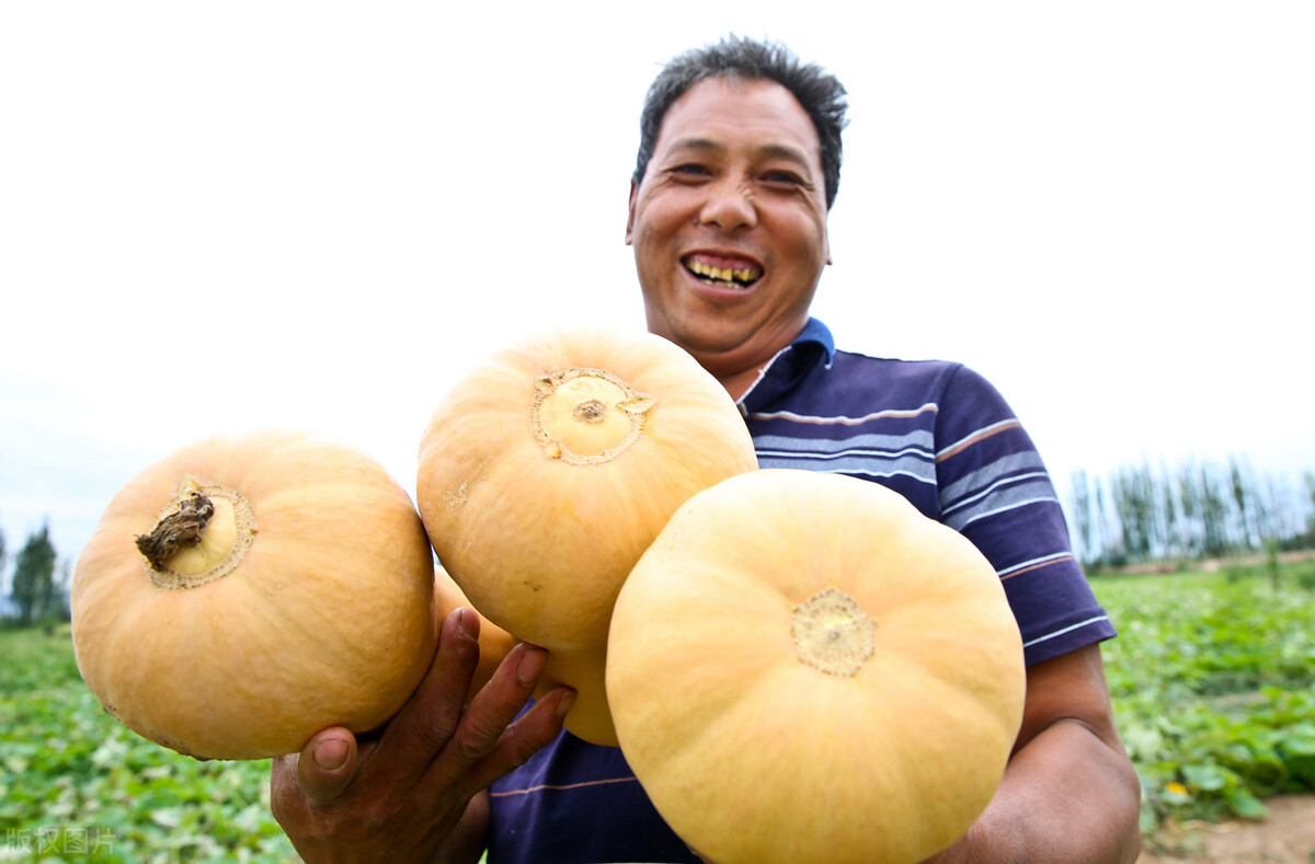 网购一瓶农药,农药经销商卖假农药