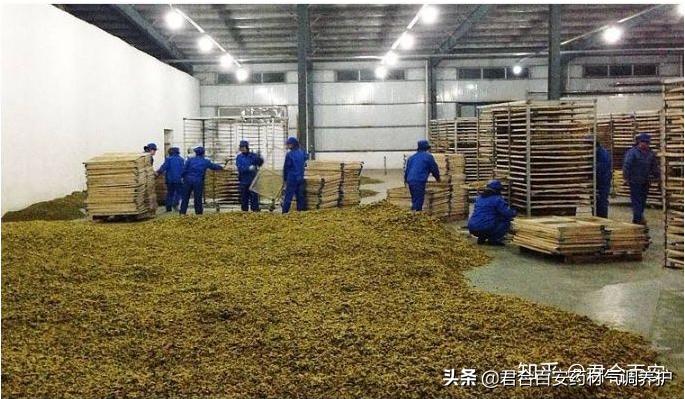 中药储存仓库的分类管理方法,中药材包装生产流程