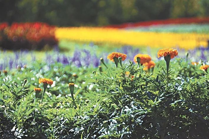 安全出行宝典,北京安全出游好去处