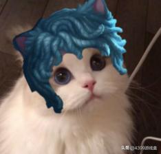 第五人格pc端好还是模拟器好,第五人格pc好玩还是手机版好玩