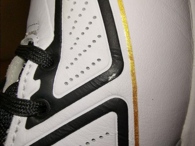 罗斯玫瑰战靴,玫瑰十年