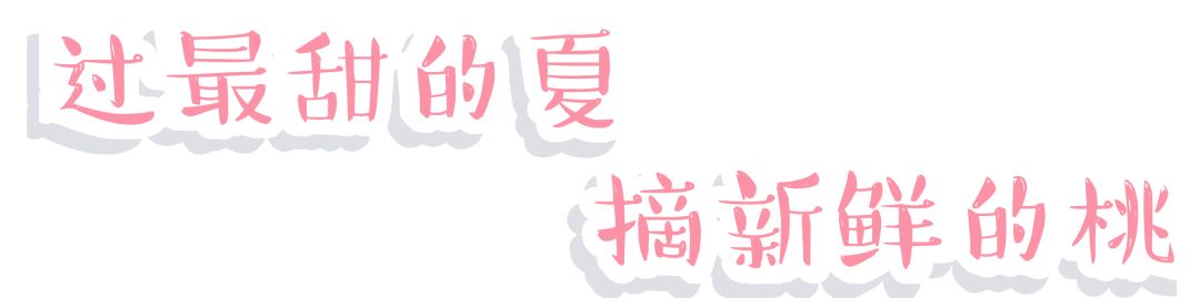 十堰新鲜采摘桃,十堰西沟桃子