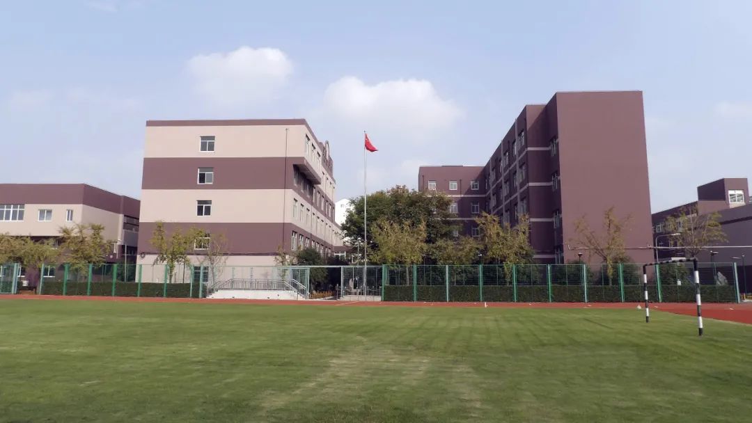 动起来的户外运动,动起来的户外活动幼儿园