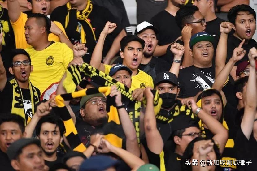 如果胜新加坡能进世界杯吗,新加坡有没有进世界杯