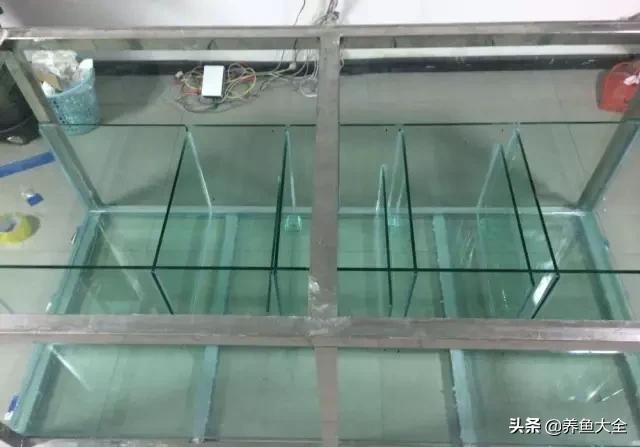 怎么样才可以做个美丽的鱼缸,给自己一个完美解释