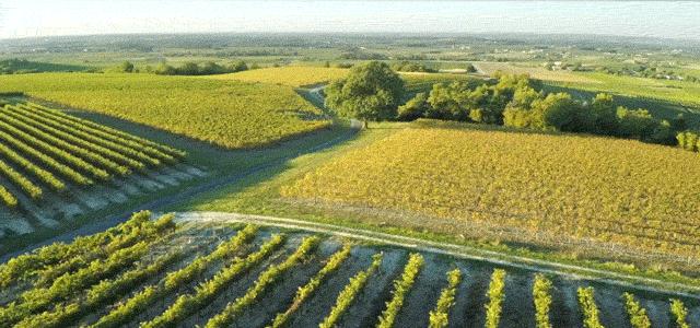 30000一瓶的路易十三,跟路易十三差不多价格的洋酒