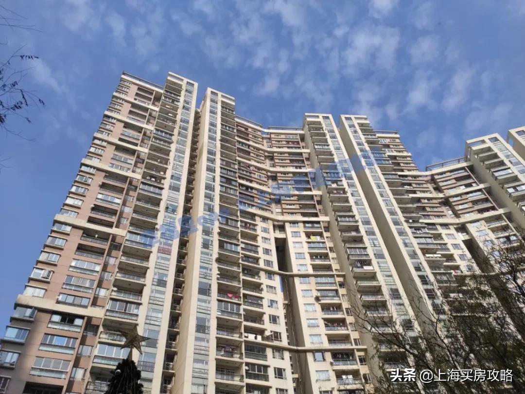 上海洋泾菊园实验学校录取率,洋泾菊园实验学校最新评价