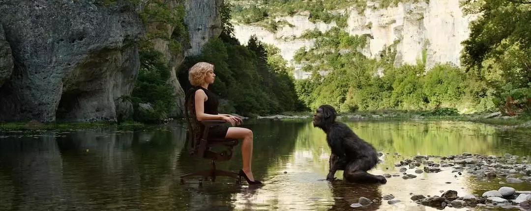 刘丰老师说超体的一句话,刘丰谈超体