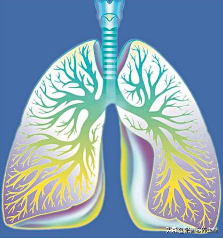怪事，“呼吸”还需要学习？是的，还真有必要学一学（No.0003）