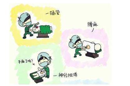 助产士的角色,产房中助产士工作分享